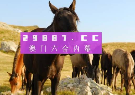 焦报 第229页